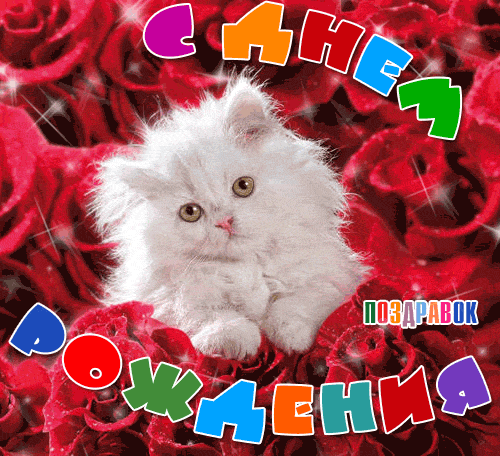 Поздравляем с Днем Рождения Екатерину (Екатерина1988) Otkrytki-den-rozhdeniya-kotik-pozdravok-ru