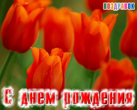 Поздравляем с Днем Рождения Наталью (Елизавета) Kartinka-s-dnem-rozhdeniya-tyulpany